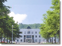 国際大学